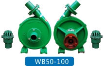 WB50-100