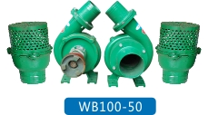 WB100-50